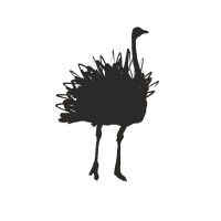 СП Straus Farm logo - Similar company to Ag Nusrat