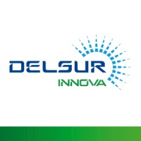 DELSUR INNOVA logo - Similar company to Teknergy