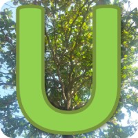 Usbong logo - Similar company to Chlp Realty And Development Corp.