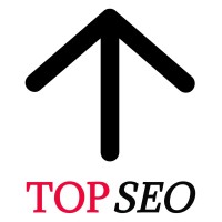 TOP SEO logo - Similar company to Now Seo Agency