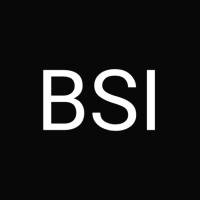 Bright Sourcing India Private Limited logo - Similar company to Blizzard