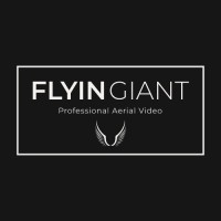 Flyin Giant logo - Similar company to Camcreatives Cic