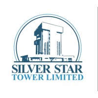 Silver Star Tower Ltd logo - Similar company to Bot Properties