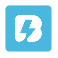 Bridcodes Global logo - Similar company to Startwithgenesis