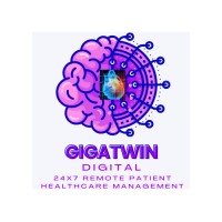 Gigatwin Digital logo - Similar company to Spaceone Global Technology Private Limited