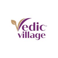Vedicvillage logo - Similar company to Noyob Consumer