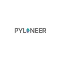 PYLONEER logo - Similar company to 데얼스ㅣTheres