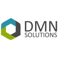 DMN Solutions logo - Similar company to Flexi-Tribe