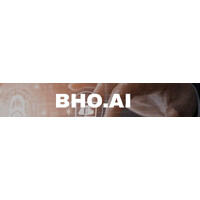 BHO.ai logo - Similar company to Bho Network
