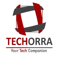 TECHORRA logo - Similar company to Daxno Technologies (Pvt) Ltd