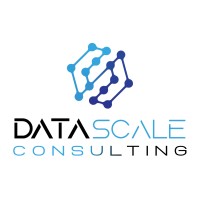 Data Scale Consulting logo - Similar company to Data Analysis
