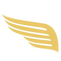 Angel/MNS Care Plc logo - Similar company to Stormbreak Cio