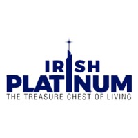 Irish Platinum Noida Ext. logo - Similar company to Dsd Systems Ltd
