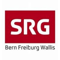 SRG Bern Freiburg Wallis logo - Similar company to Vodka 4 Peace