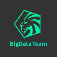 BigData Team logo - Similar company to Shyraq Ai
