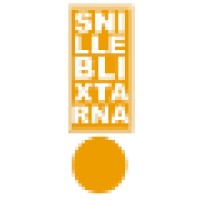Snilleblixtarna I Sverige