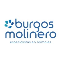 BURGOS MOLINERO SL logo - Similar company to C Informática Sl