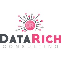 DataRich Consulting logo - Similar company to Midwest Sas Users Group (Mwsug)
