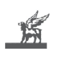 Ambrosini Design