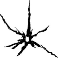 ASTROFIX Mobile Windscreen Chip Repairs Queenstown logo - Similar company to Wanaka Enterprises, Inc.