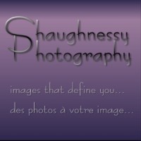 Shaughnessy Photography logo - Similar company to Ladybug Designs