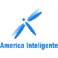 America Intelligent Inc logo - Similar company to Onesolution America