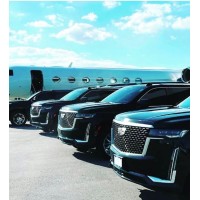 Lior Transportation logo - Similar company to We Answer