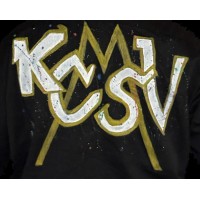 KCMSV Investments logo - Similar company to Speak