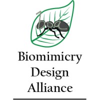 Biomimicry Design Alliance logo - Similar company to Bioimmersive