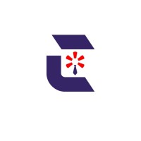 Cogent Solutions logo - Similar company to Total Excellence Centre