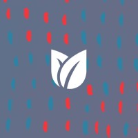 Fresh Tulips USA logo - Similar company to Bloomia
