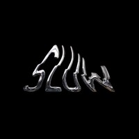 Sluw Official V.O.F. logo - Similar company to True Blue Consultancy