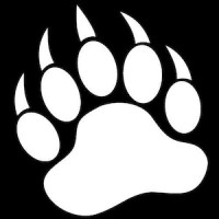 Bear Woods