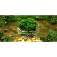 Éco-EnvironeX logo - Similar company to Master Of Science In Communication For Development & Social Change (Cdsc)