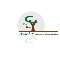Aysel Management Consultancies logo - Similar company to Aysel Dadashova