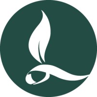L'ilo trésors logo - Similar company to Kibana