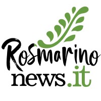 Rosmarinonews.it logo - Similar company to Tool Marketing Company Ltd  (Tomaco)
