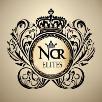 NCR Elites logo - Similar company to Digiibuddy