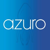 Azuro Ink logo - Similar company to İzoreel Composites