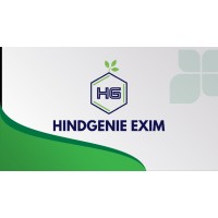 HindGenie EXIM logo - Similar company to Lawdship