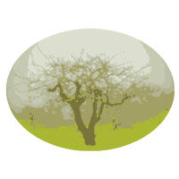 Derwen, Inc. logo - Similar company to Senzing