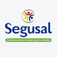 Segusal Perú logo - Similar company to Upper Team