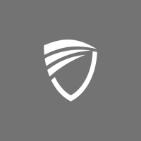 Paladin Venture Studio logo - Similar company to Pacer Venture Studio 倍速创新工坊