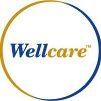 Wellcare logo - Similar company to Ilko