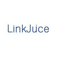 LinkJuce SEO Digital Marketing logo - Similar company to Ewebsites