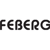 Feberg Motion Design logo - Similar company to Mdsimulation- 3D Animation & Vfx Studio
