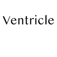 Ventricle logo - Similar company to Bridgedp Robotics