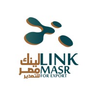 Link Masr logo - Similar company to Omria Gmbh