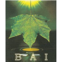 Biodiesel Association of India logo - Similar company to Biodiesel Producers Ltd