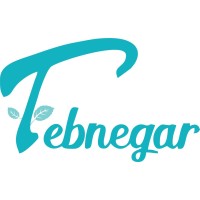 Tebnegar logo - Similar company to Alsatmal